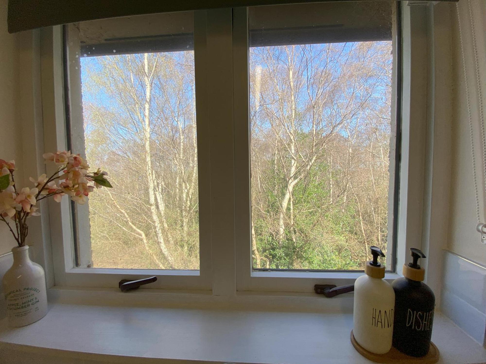 Treetops - Bright 2 Bed Flat - Super Location Инвернес Екстериор снимка